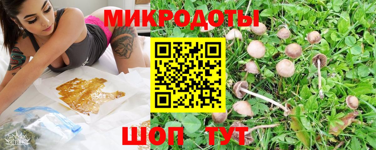 Нарткала  Галлюциногенные грибы Psilocybine cubensis  Псилоцибиновые грибы MAGIC MUSHROOMS  Вход с VPN 